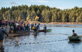 Abfischen am Bruneiteich Heidenreichstein, © Waldviertel Tourismus, Claudia Schlager