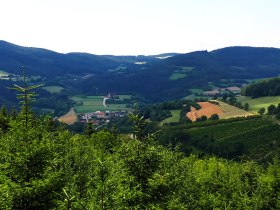 Blick auf Pöggstall, © Gottfried Grossinger
