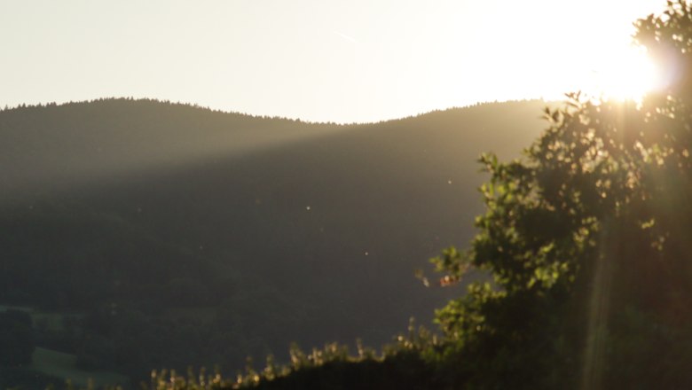 Sonnenuntergang im Yspertal mit Hügeln und Bäumen im Vordergrund.