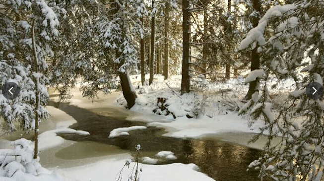 Angeln am Wachtelhof, © Astrid Hanke-Aberer