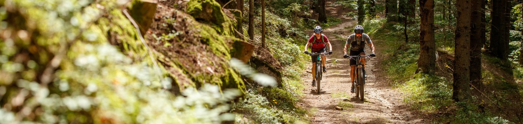 Granittrail, © Waldviertel Tourismus, Erwin Haiden