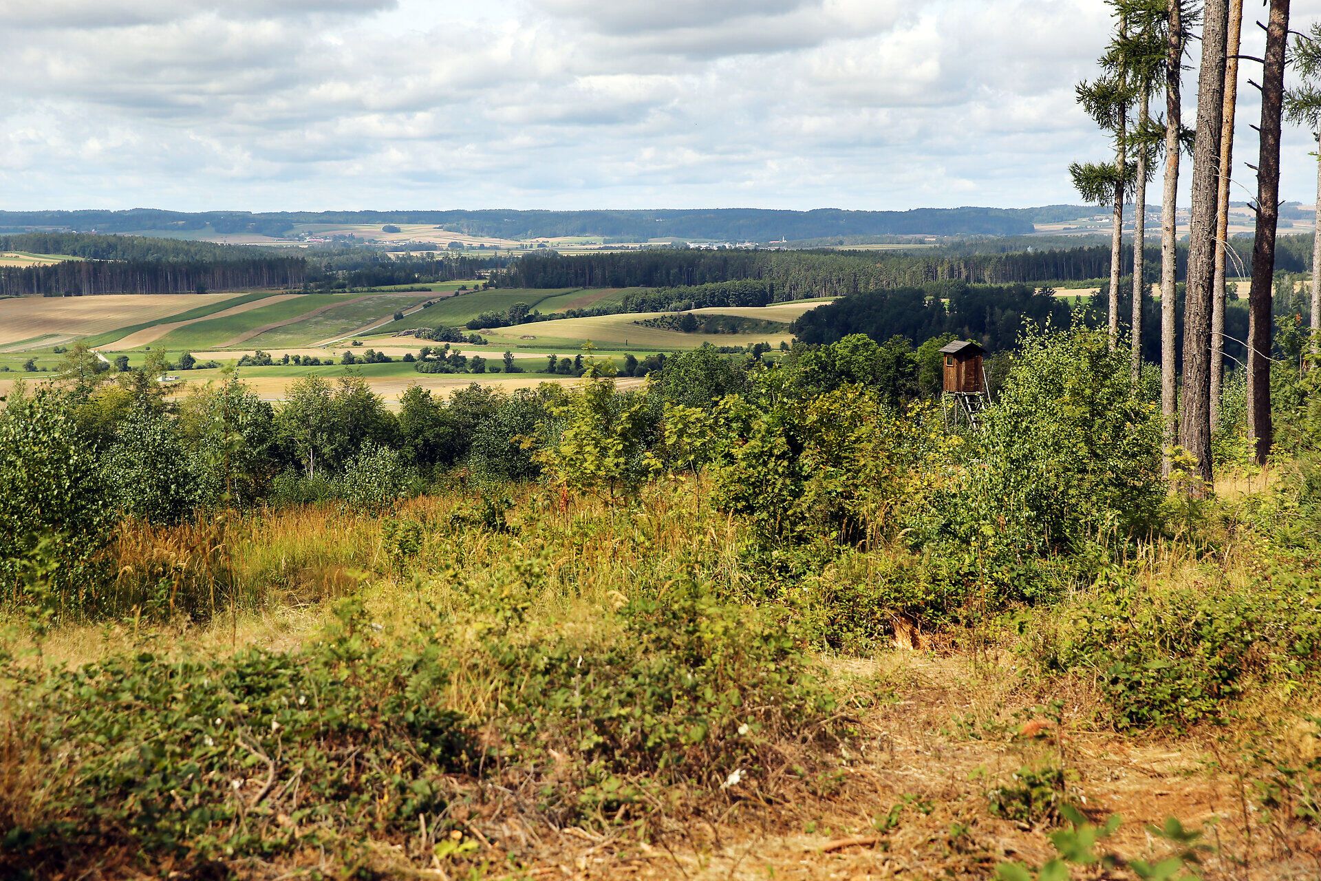 Die sanften Hügel und weiten Felder des Naturparks Dobersberg laden zu erholsamen Wanderungen ein. Hier, wo die Natur in voller Pracht erblüht, können Besucher die frische Luft und die atemberaubenden Ausblicke genießen. Ein wahres Paradies für Naturliebhaber und Erholungssuchende.