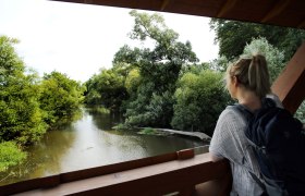Naturpark Dobersberg, &copy; Waldviertel Tourismus, weinfranz