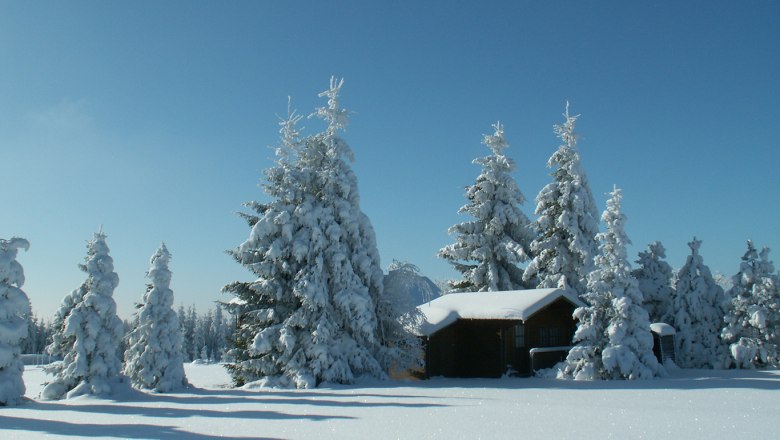 Winterlandschaft rund um Bärnkopf, © Gästehaus Grudl