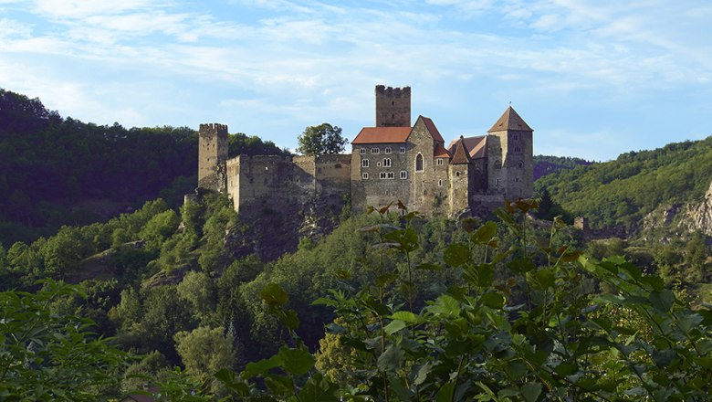 Burg Hardegg auf einem bewaldeten Hügel mit blauem Himmel im Hintergrund.