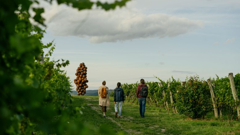 WEINWEG Langenlois, Traube am Käferberg, © Niederösterreich Werbung/Julius Hirtzberger