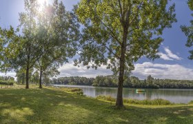 Panoramablick auf einen See mit Bäumen und einer Bank im Vordergrund, sonniger Himmel.