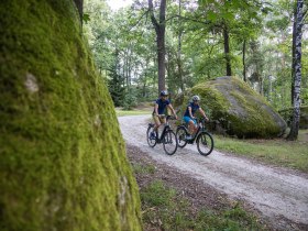 Rad fahren, Wasserlandschaftsradweg, Waldviertel, Naturpark Blockheide, &copy; velontour.at Das Copyright &copy; velontour.info bzw./oder &copy; velontour muss dabei immer angegeben werden. Die Destination Waldviertel GmbH ist berechtigt die Lichtbilder teilweise zu bearbeiten (ausschlie&szlig;lich Zuschneiden des Bildes f&uuml;r technische Gegebenheiten ist erlaubt). Die Bilder d&uuml;rfen ohne Zustimmung des Vertragspartners nicht weiterbearbeitet werden (zum Beispiel weitere Bildbearbeitung, Spiegelung, Retuschieren). Eine unentgeltliche Weitergabe an Dritte aus dem Presse- und Tourismusbereich (z.B.: Bilderdatenbank f&uuml;r Hotels und Regionen) ist gestattet.