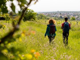 Blick auf Stratzing, &copy; Wachau-Nibelungengau-Kremstal