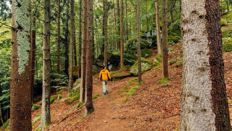 Person in gelber Jacke wandert auf einem Waldweg.