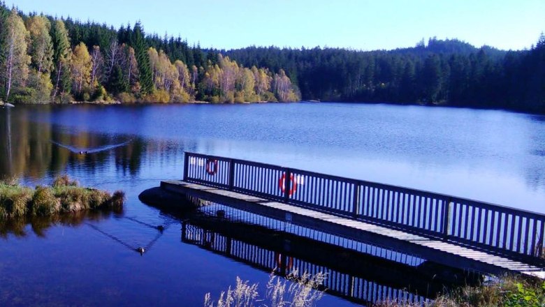 Schlesinger Teich, © Steiner