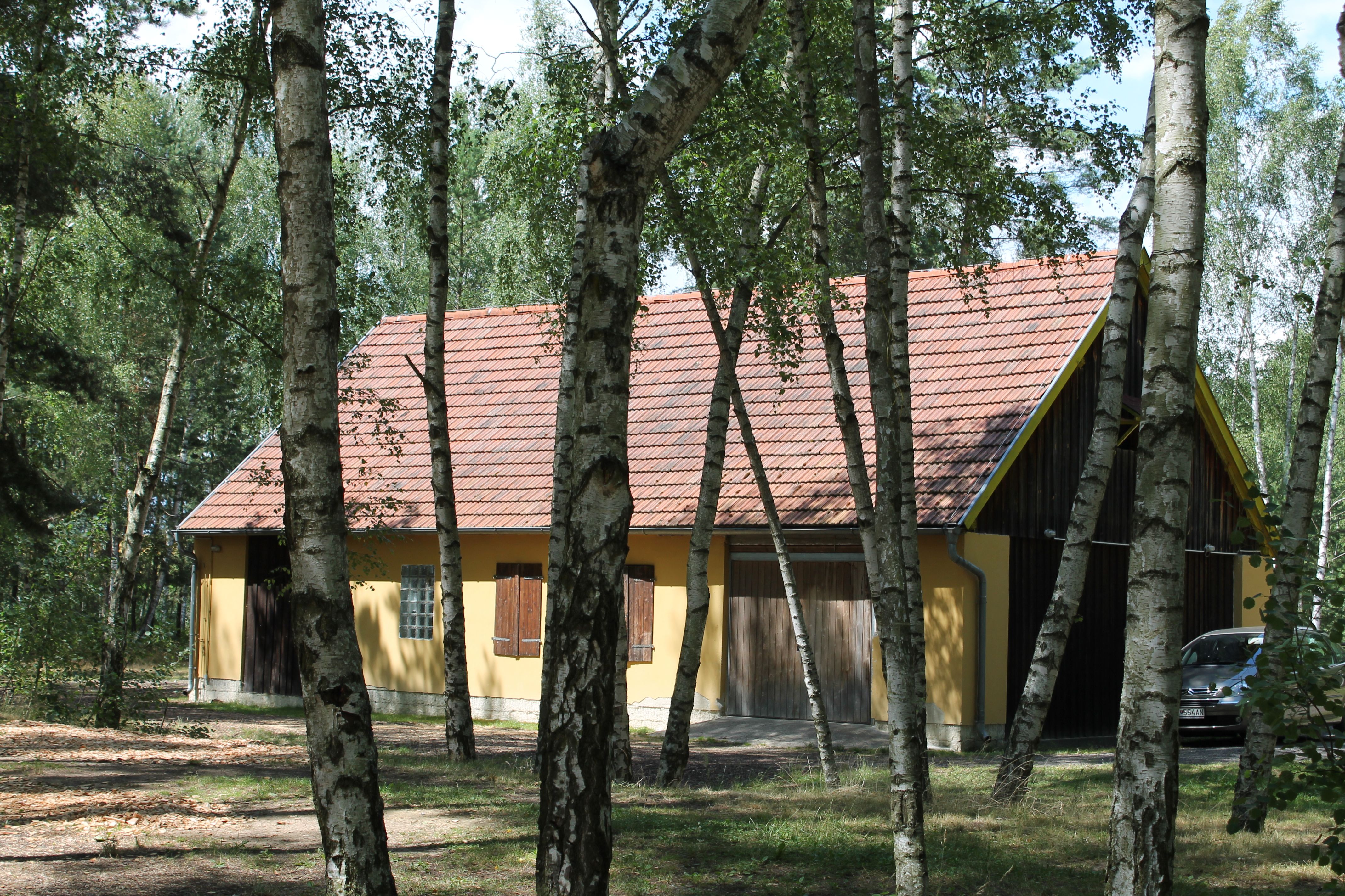 Ein gelbes Gebäude mit rotem Ziegeldach, umgeben von Birkenbäumen im Wald.