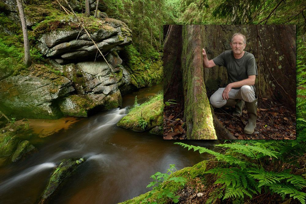 Wildes Waldviertel am Bärentrail