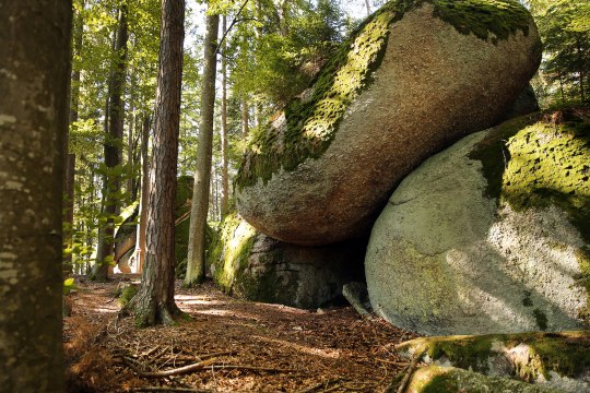 Steinformation im Wald, © Waldviertel Tourismus, weinfranz