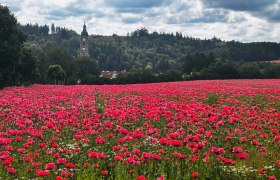 Stift Zwettl, © Dr. Markus Peham