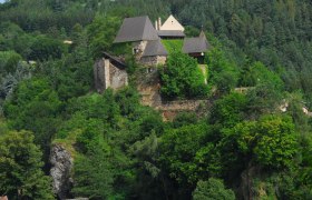 Burg inmitten von B&auml;umen auf einem H&uuml;gel.