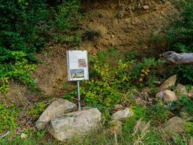 Station 5, © Gottfried Grossinger