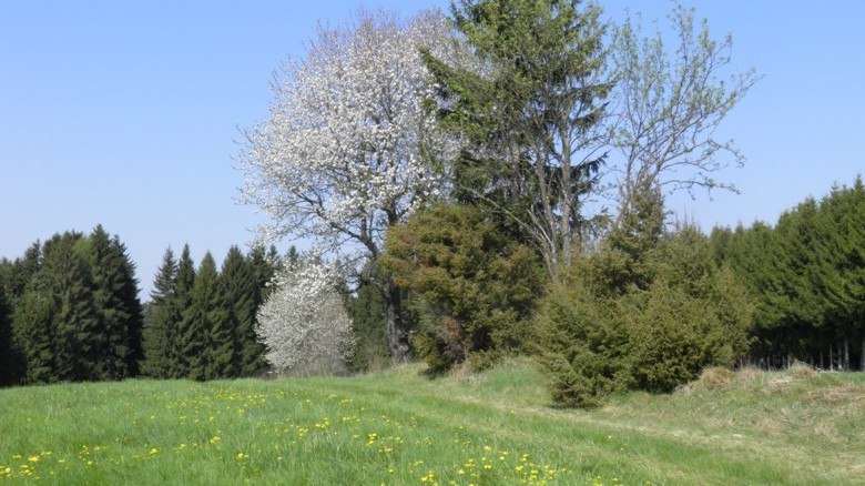 familienurlaub_am_bio-bauernhof04cpeter_hoebarth_3, © Peter Höbarth