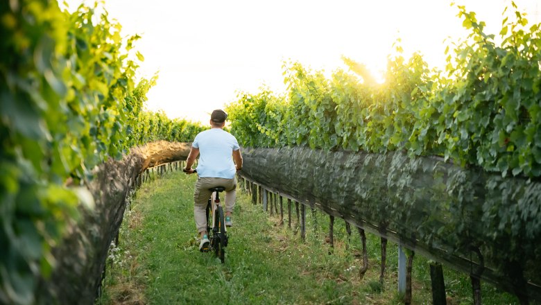 WinEcycle Tours, © © Niederösterreich Werbung/ Daniel Gollner