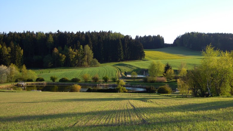 Ruders-Badeteich, © Gemeinde Gastern