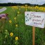 Surroundings, flower picking allowed, © Thomas Starkl