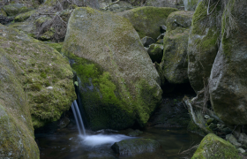 Weißenbachklamm, © Matthias Schickhofer