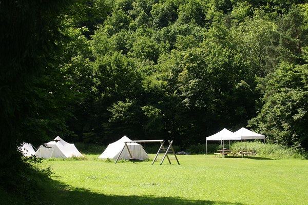 Tents and pavilion on a green meadow in front of a forest.