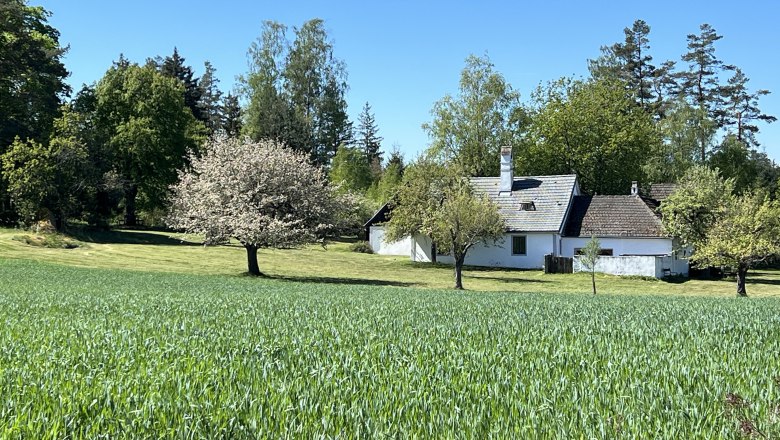 IMG_9531, © Katrin Karall-Semler