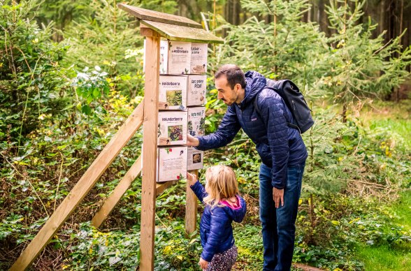 SONNENTOR, © Waldviertel Tourismus, Robert Herbst