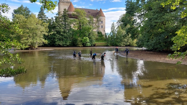 Burg Heidenreichstein, © Michaela Altmann