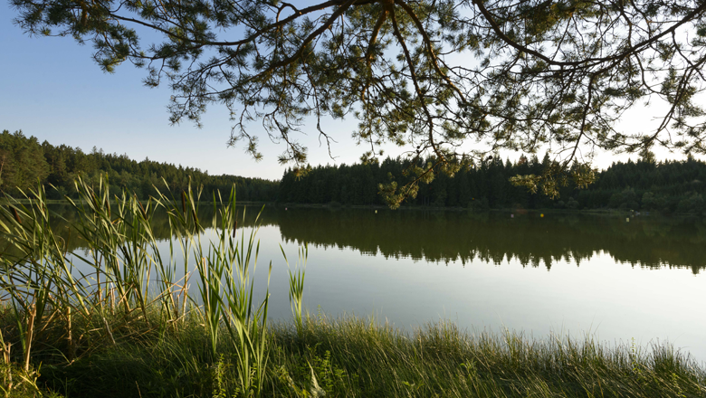 Himmelteich bei Ottenschlag, © Matthias Schickhofer