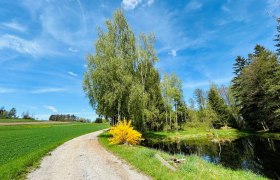 Siebenlinden, © Dr. Markus Peham