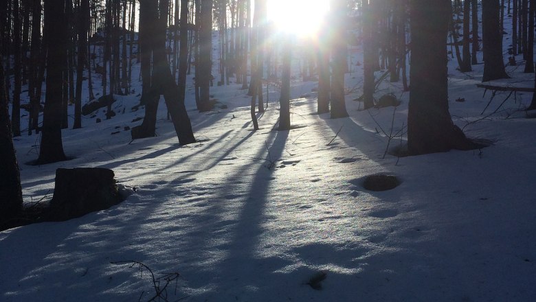 Der 1000Krauthof funkelt und glitzert, wenn die Sonne im Winter zwischen den Bäumer durch blinzelt, © 1000 Krauthof