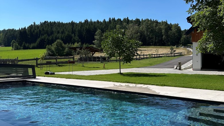 Ein moderner Pool in einem Garten mit Blick auf eine grüne Wiese und einen Wald im Hintergrund.
