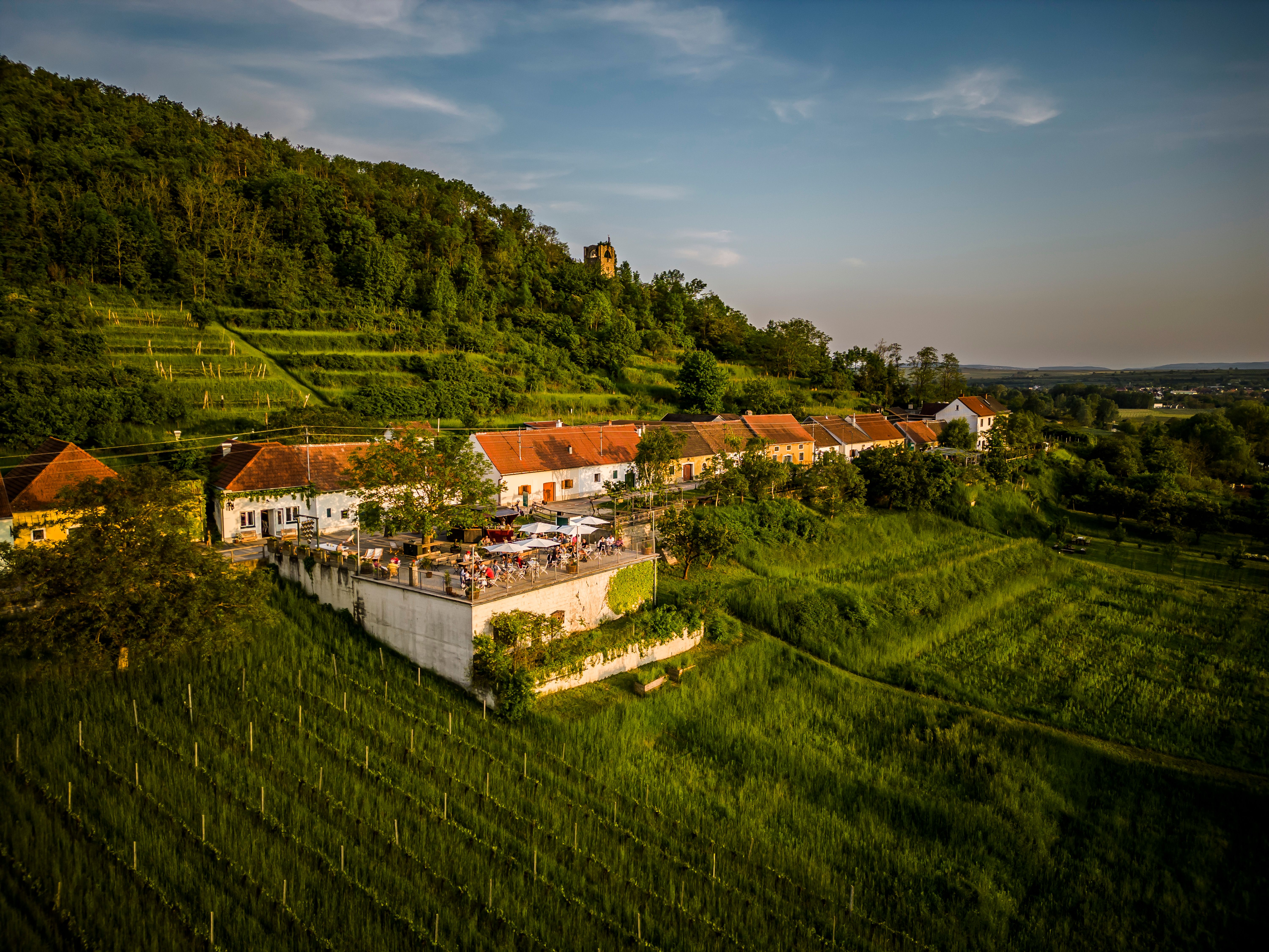 Luftaufnahme eines Weinguts mit Terrasse und Gästen, umgeben von grünen Weinbergen und Hügeln.