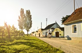 Spring awakening Kamp Valley, © Robert Herbst, kamptal.at