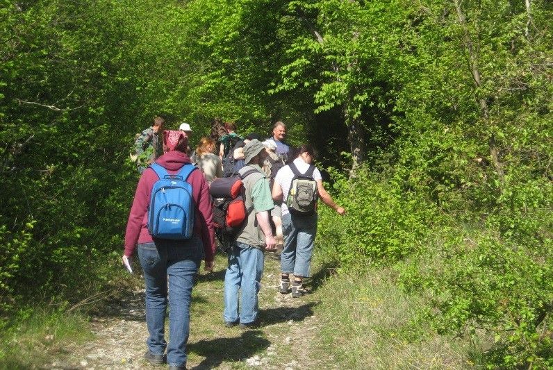 Wildkräuter Wanderung