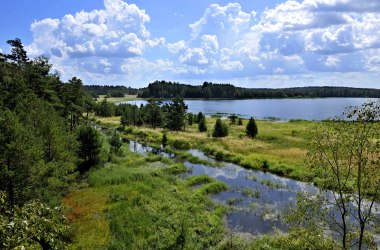 Nature Park Heidenreichstein, © POV