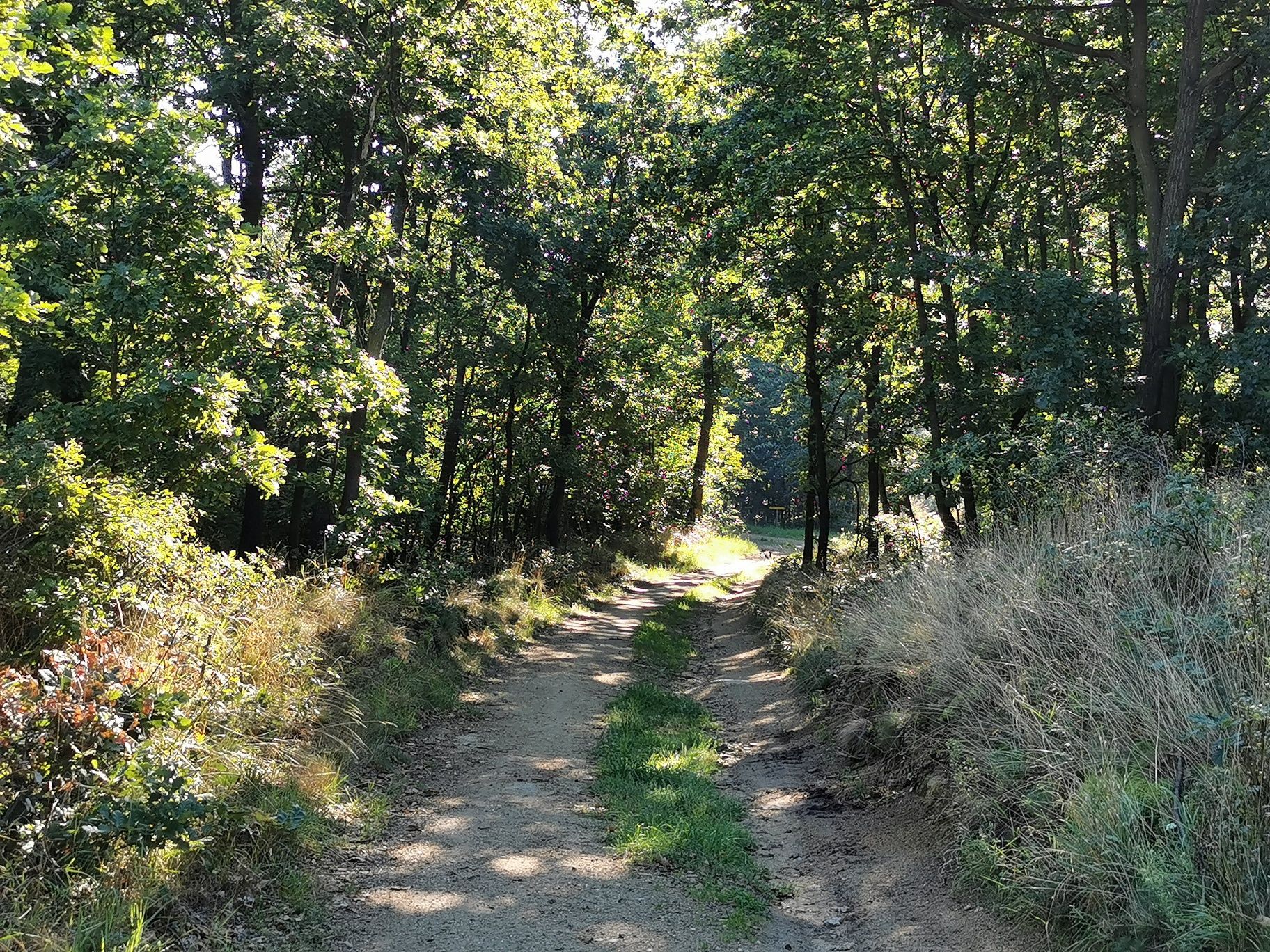 Haidgrabenweg