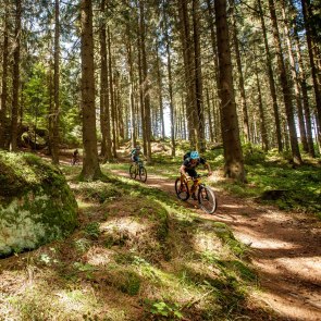 Granittrail, © Waldviertel Tourismus, Erwin Haiden