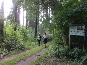 Pflanzenlehrweg, © Waldviertel Tourismus