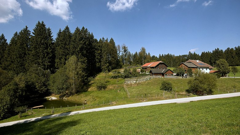 beekeeping-frasl-7-min, &copy; Frasl