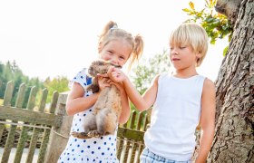 Zwei Kinder halten ein Kaninchen im Freien neben einem Baum.