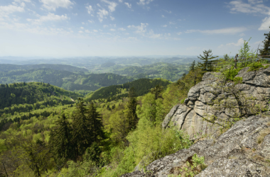 Burgsteinmauer im Südlichen Waldviertel, © Matthias Schickhofer