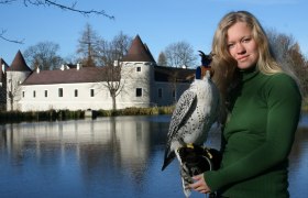 Schloss Waldreichs, © NÖ Falknerei- und Greifvogelzentrum