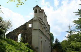 Ruine eines Schlosses mit erhaltenem Turm und Mauerresten, umgeben von Bäumen und blauem Himmel.