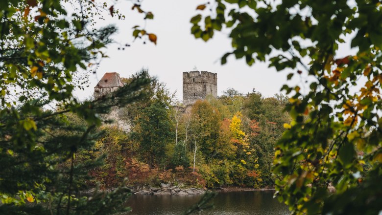 Blick auf die Ruine Lichtenfels am Stausee Ottenstein, umgeben von herbstlichen Bäumen.