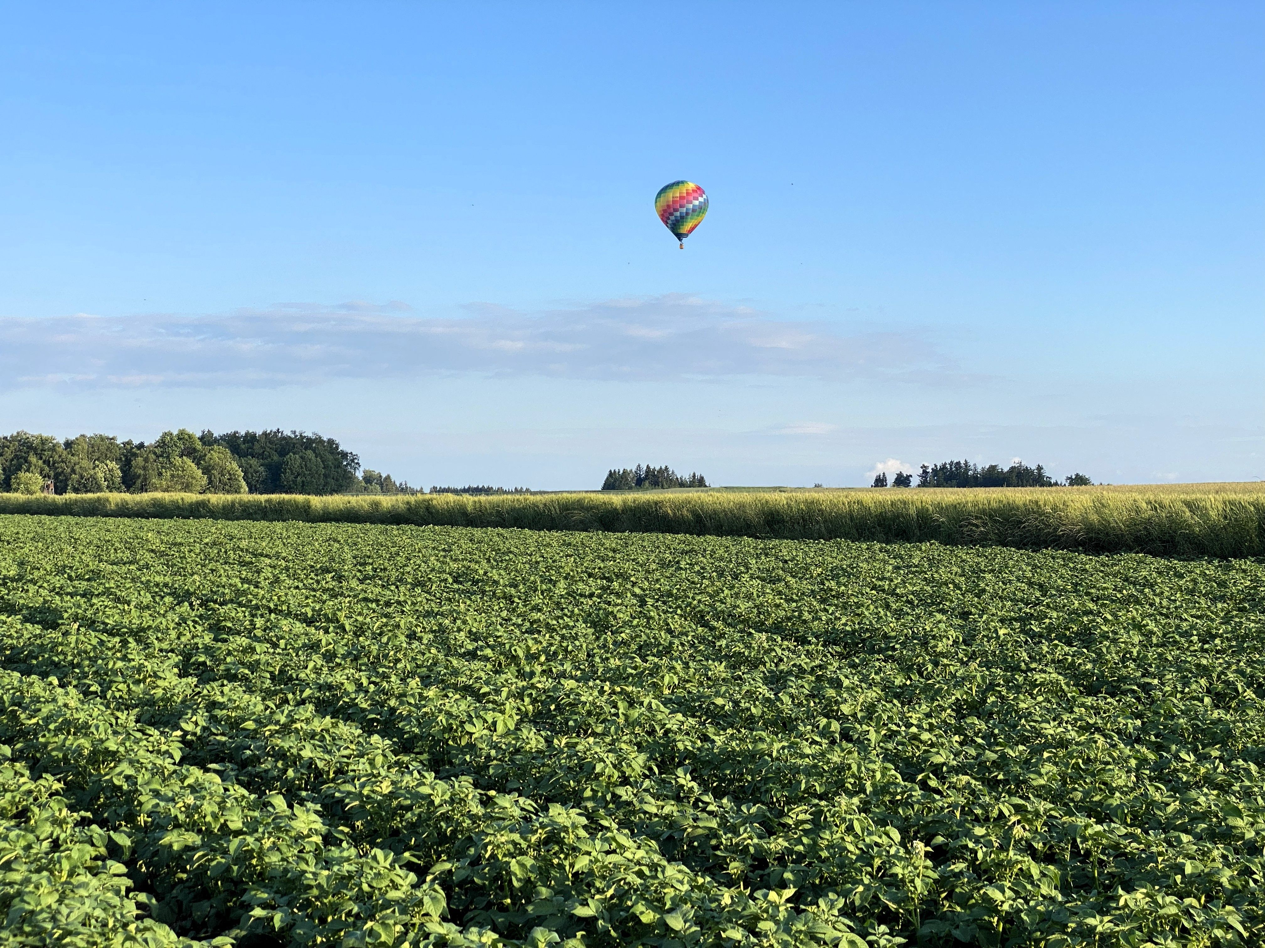 Weites Feld mit Blick auf einem Heißluftballon am Himmel