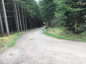 Wanderweg Nr. 33, Natur, &copy; Stadtgemeinde Allentsteig