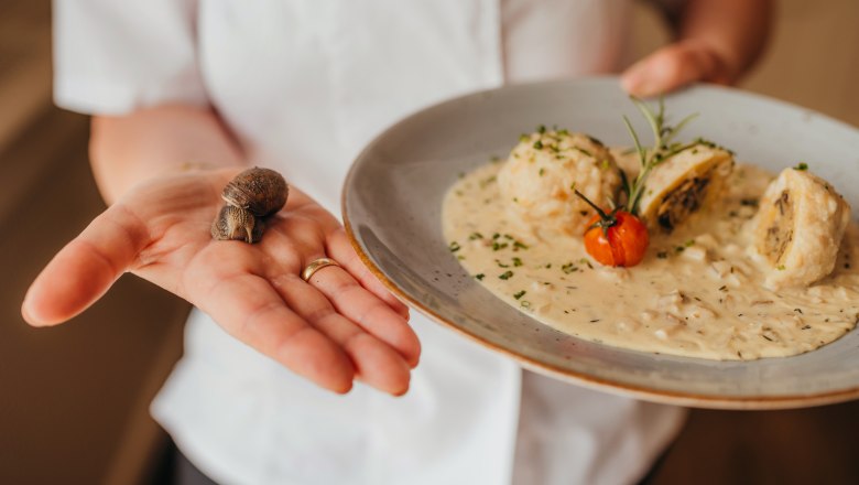 One person is holding a vineyard snail and a plate of dumplings in cream sauce.